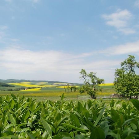 贝格霍夫酒店 - 餐厅 Berghausen  外观 照片